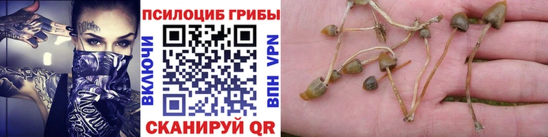 Галлюциногенные грибы прущие грибы  купить   Североморск 